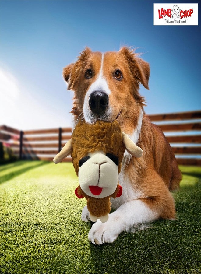 Multipet Knobby Noggins Lamb Chop Dog Toys | Lambchop Knobby Noggins Pet Toy | Squeaky Dog Toy Plush | 5" | Officially Licensed | 3 Pack (Black + Brown + White) - Image 5