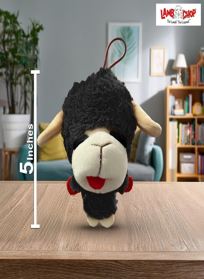 Multipet Knobby Noggins Lamb Chop Dog Toys | Lambchop Knobby Noggins Pet Toy | Squeaky Dog Toy Plush | 5" | Officially Licensed | 3 Pack (Black + Brown + White) - Image 3