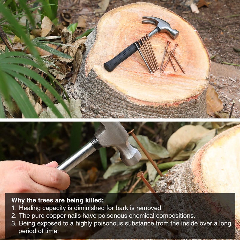 Frienda فريندا 20 قطعة من المسامير النحاسية لقتل الأشجار، قاتل جذوع الأشجار، مسامير بطول 3.5 بوصة لقتل الأشجار، مسامير إزالة الجذوع مع 2 قطعة من المسامير الفولاذية الكبيرة بطول 3.5 بوصة و1 صندوق تخزين - Image 5