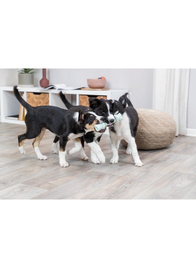 Trixie Self-Playing, Latex Rope Toy For Aggressive Chewer Dogs For Playing And Encouraging Bonding, 15 Cm - Image 5