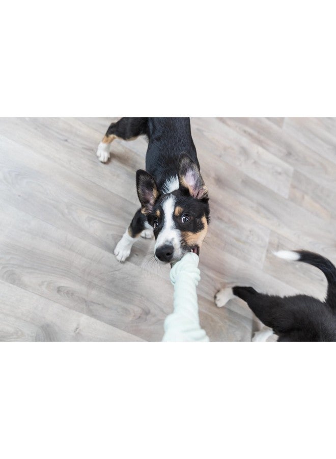 Trixie Self-Playing, Latex Rope Toy For Aggressive Chewer Dogs For Playing And Encouraging Bonding, 15 Cm - Image 4