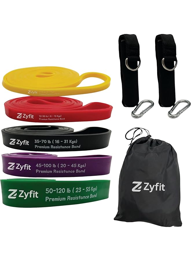 Premium Resistance Bands Set of 5, Exercise Bands, Workout Bands Set for Working Out with Handles for Men Women- Includes 2 Handles,2 Hooks,Storage Bags