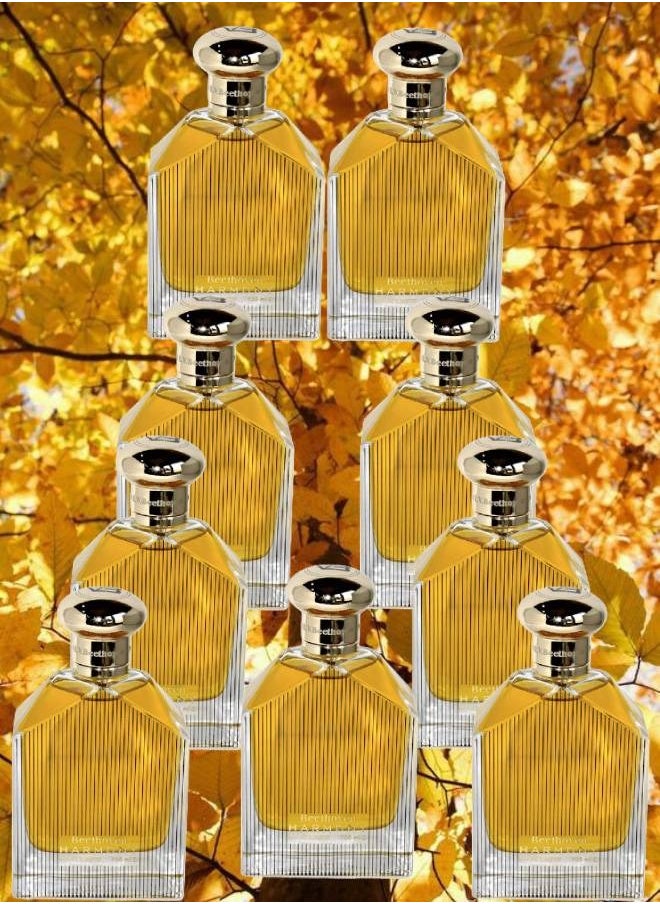 9 قطع عطر بيثاوفن هارموني 100 مل - pzsku/Z62D34E8CB803BC583029Z/45/_/1699639088/d80fa22c-a7ca-4159-9f4b-85961f675594