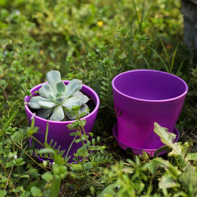 TDHDIKE 10 Pcs Plastic Planters Indoor Flower Plant Pots, Mini Flower Seedlings Nursery Pot/Planter/Flower Pot with Pallet, Modern Decorative Gardening Containers (Purple) - Image 4