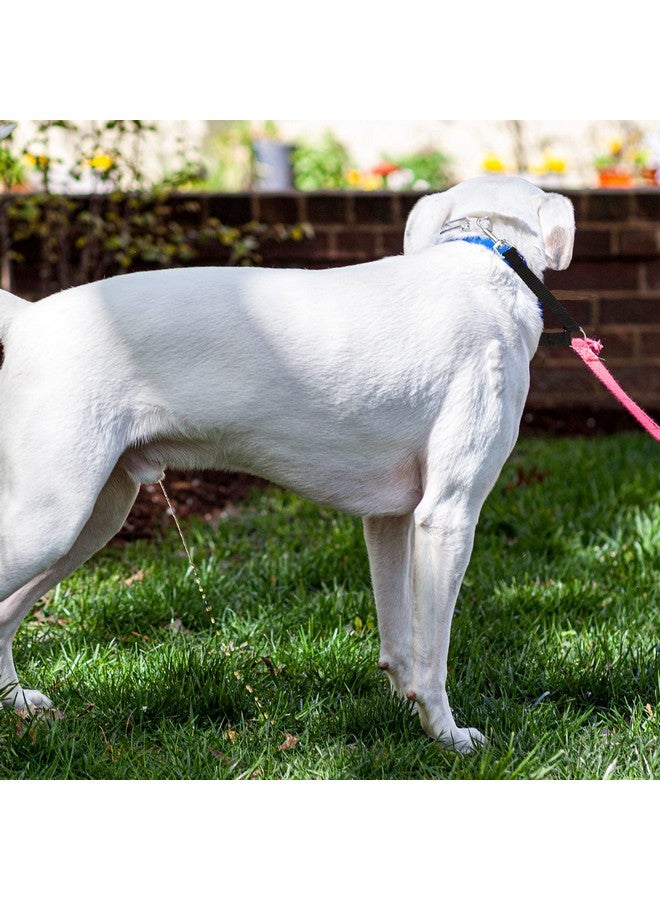 Reginary 4 Pieces No Tangle Dog Leash Couplers Black Double Clip Leash for Two Clasp Dog 0.6 Inch Wide Heavy Duty Nylon for Large Pet Walking Supplies, 4 Inch - Image 5