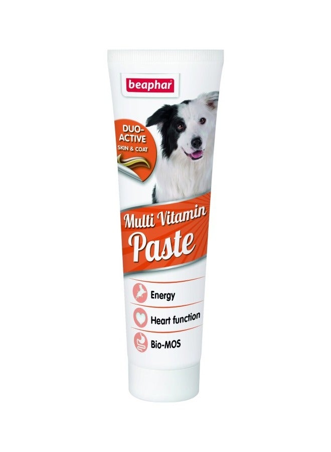 بيفار معجون دو أكتيف متعدد الفيتامينات للكلاب 100 غرام