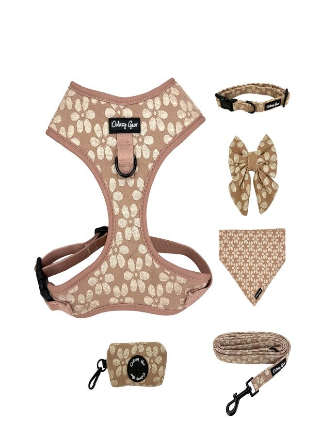 Daizzy Gear Small Dog Collar and Harness Set - No Pull, All-Weather, Breathable Harness & Leash Set with Collar, Bandana, Sailor Bow & Poop Bag Holder - Adjustable & Soft - Cocoa Bloom on Jacquard Fabric - Image 1