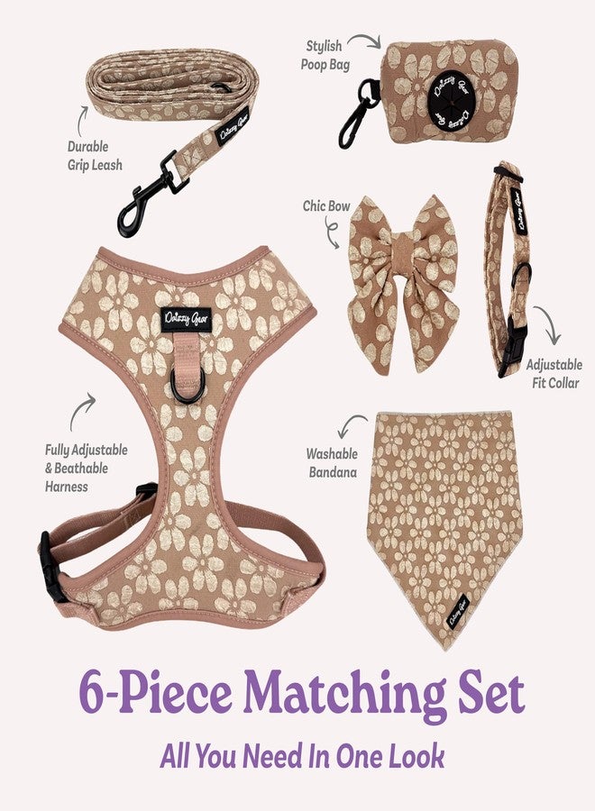 Daizzy Gear Small Dog Collar and Harness Set - No Pull, All-Weather, Breathable Harness & Leash Set with Collar, Bandana, Sailor Bow & Poop Bag Holder - Adjustable & Soft - Cocoa Bloom on Jacquard Fabric - Image 3