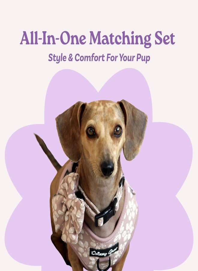 Daizzy Gear Small Dog Collar and Harness Set - No Pull, All-Weather, Breathable Harness & Leash Set with Collar, Bandana, Sailor Bow & Poop Bag Holder - Adjustable & Soft - Cocoa Bloom on Jacquard Fabric - Image 2