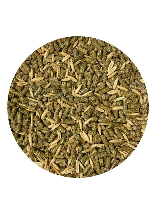 EXOTIC NUTRITION Exotic Nutrition Degu Diet (2.5lb) - Nutritionally Complete Healthy Pellet Diet with Whole Oats - for Domesticated Pet Degus  - Image 3