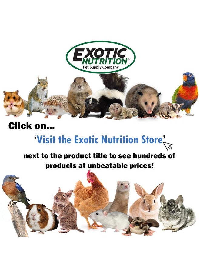 EXOTIC NUTRITION Exotic Nutrition Degu Diet (2.5lb) - Nutritionally Complete Healthy Pellet Diet with Whole Oats - for Domesticated Pet Degus  - Image 4
