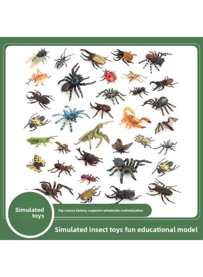 Loquat Insect Specimen Simulation Model Toy Bee erfly Unicorn Fairy Simulation Small Insect Children's Educational Toys Wholesale-Color:1220 Funnel Spider - Image 2