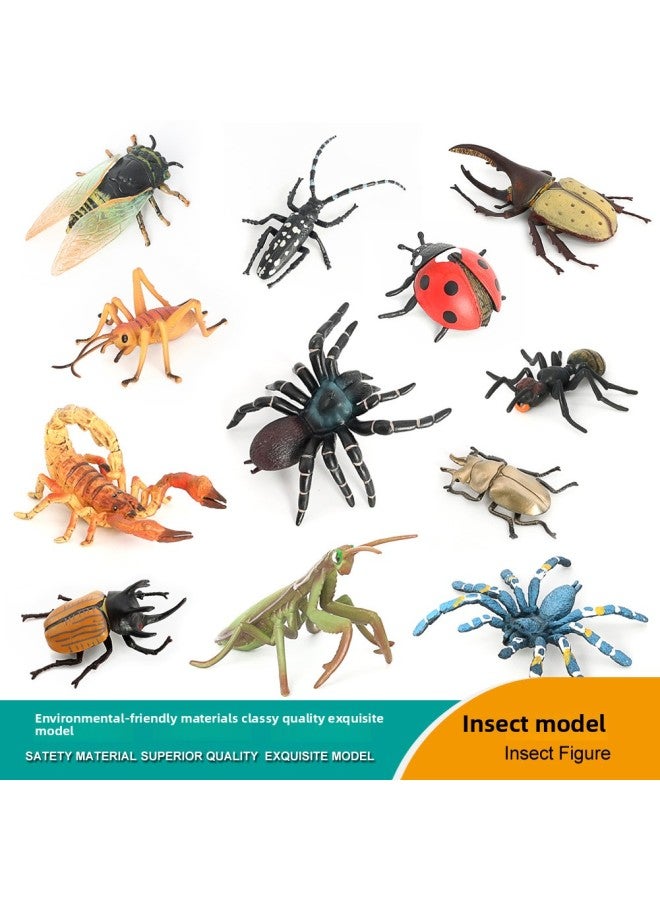 Loquat Insect Specimen Simulation Model Toy Bee erfly Unicorn Fairy Simulation Small Insect Children's Educational Toys Wholesale-Color:1220 Funnel Spider - Image 3