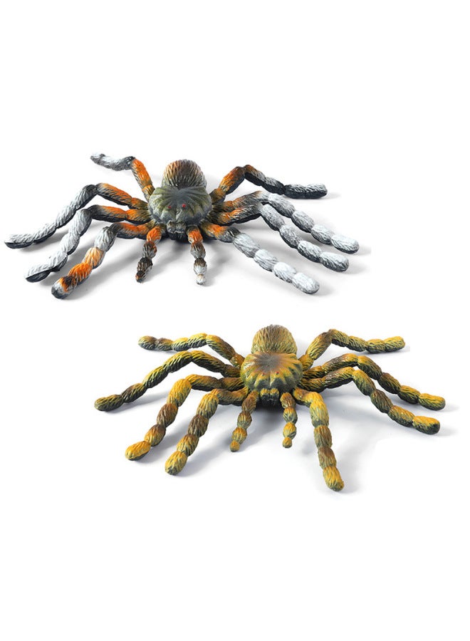 Loquat Insect Specimen Simulation Model Toy Bee erfly Unicorn Fairy Simulation Small Insect Children's Educational Toys Wholesale-Color:1220 Funnel Spider - Image 5