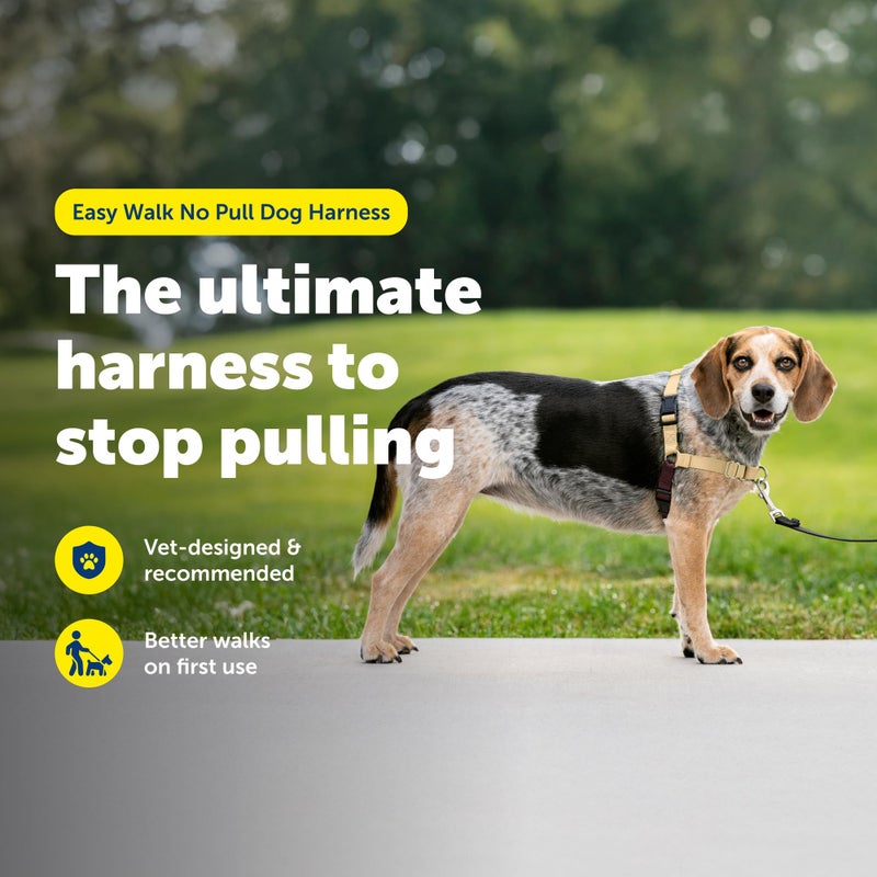 PetSafe Easy Walk Harness for Dogs - Pull-Free Walks - Patented Martingale Loop Design - Front Chest Leash Attachment - Comfort Straps - Breathable Harness Design - Small/Medium, Fawn/Brown - Image 2