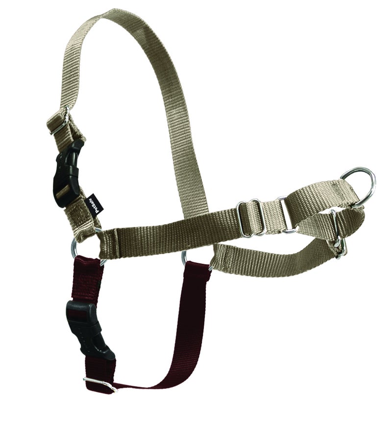 PetSafe Easy Walk Harness for Dogs - Pull-Free Walks - Patented Martingale Loop Design - Front Chest Leash Attachment - Comfort Straps - Breathable Harness Design - Small/Medium, Fawn/Brown - Image 3
