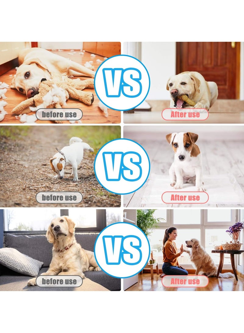 عام مقراف الكلاب، [2 قطعة، متعدد الألوان]، مقراف تدريب مع حزام يد للكلاب والقطط والخيول. - Image 3