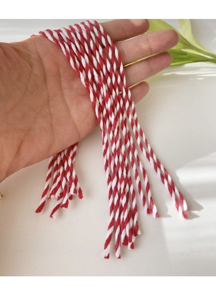 Marteniçka Red White Rope Bracelet March Bracelet 20 Pieces - pzsku/Z62DFB25D16A13412BDD7Z/45/_/1730521080/64cfc709-1463-4c25-a0aa-d5216ec59df6