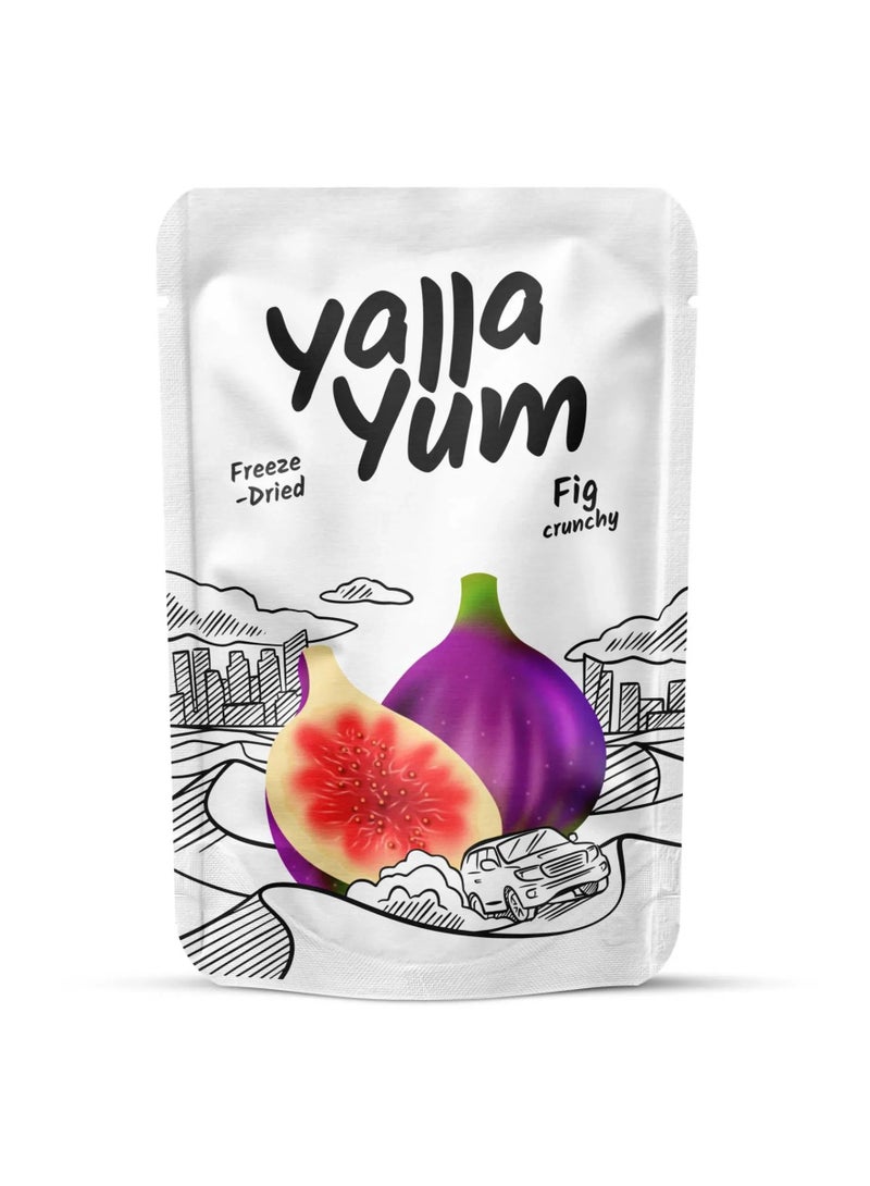 Freeze-Dried Fig