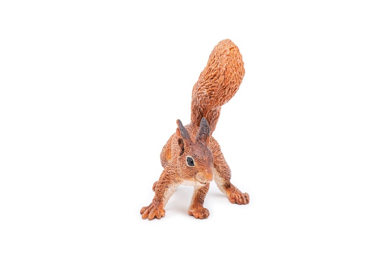 Papo - SQUIRREL - Realistic figurine - 3 years old - Wildlife - Hand painted - Stimulates imagination and learning - 5.2cm x 4cm x 5.5cm - Educational toy - Gift idea - squirrel figurine - Image 3