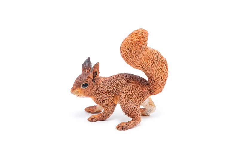 Papo - SQUIRREL - Realistic figurine - 3 years old - Wildlife - Hand painted - Stimulates imagination and learning - 5.2cm x 4cm x 5.5cm - Educational toy - Gift idea - squirrel figurine - Image 5