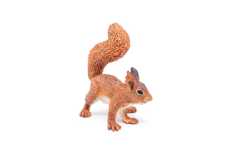 Papo - SQUIRREL - Realistic figurine - 3 years old - Wildlife - Hand painted - Stimulates imagination and learning - 5.2cm x 4cm x 5.5cm - Educational toy - Gift idea - squirrel figurine - Image 2