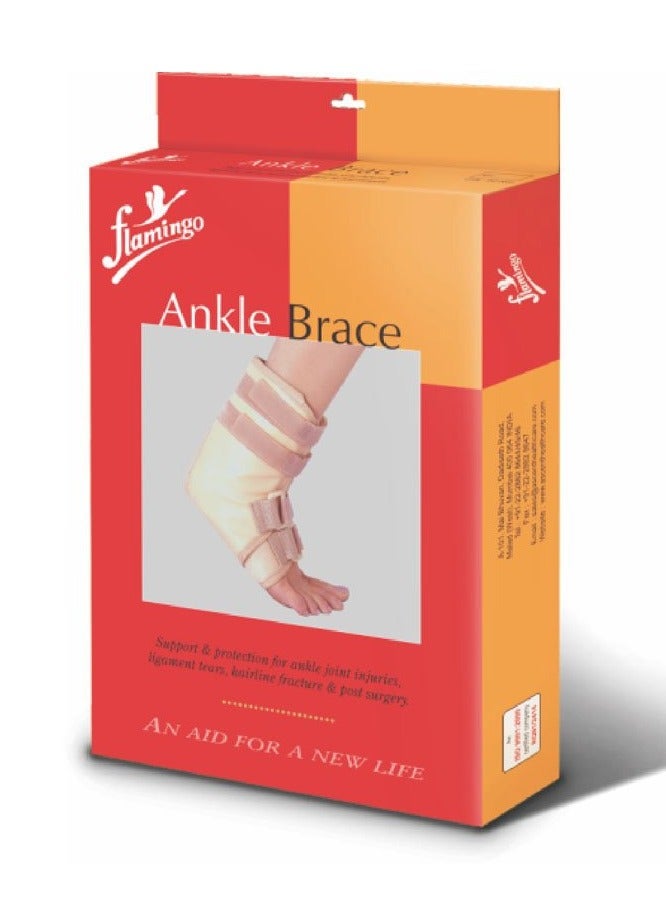 Flamingo Ankle Brace (S) Oc-2060