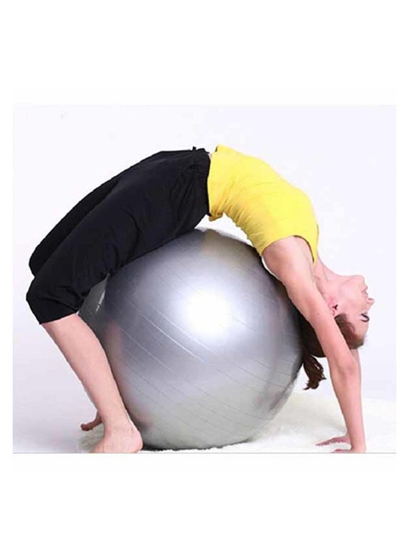 65cm مضاد انفجار غير انزلاقي كرة يوغا 500KG Max Load Fast Inflation for Pilates Pregnancy Gym Training (بالإنجليزية) - Image 3