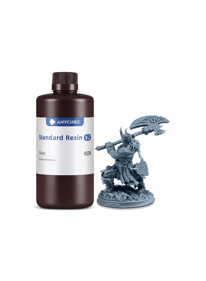 Anycubic Standard V2 Gray