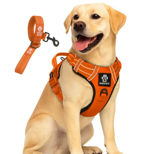 Doggo Bite Premium Reflective Dog Vest Harness| Soft Breathable| Padded Handle| Adjustable Straps & Luxury Buckle| No-Choke Design with Free Leash-26mm Chest (22-30 inch) All Medium Breeds 14-22 Kg - Image 1