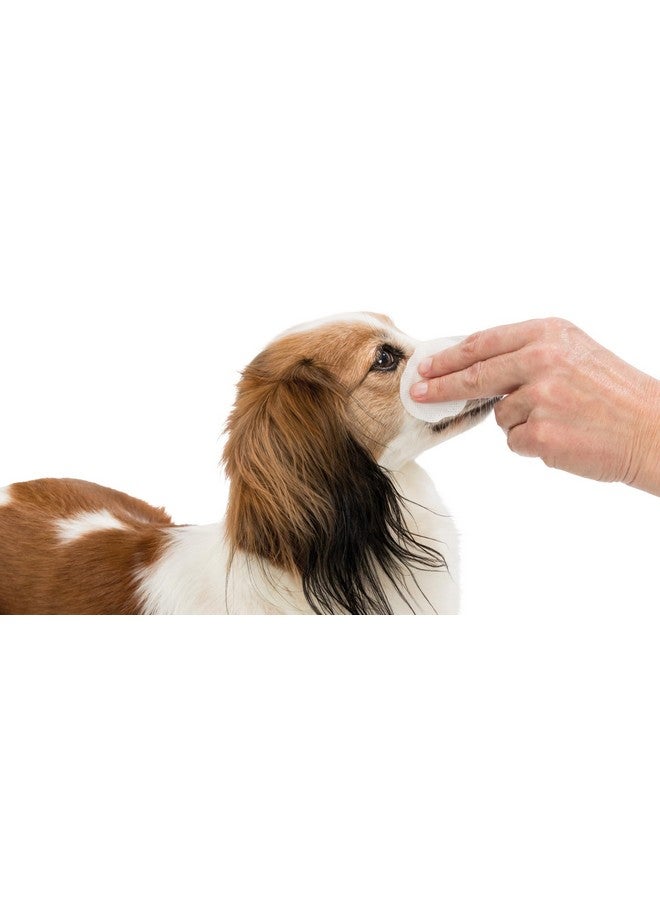 Trixie Eye-Care Single-Use Pads For Dogs, Cats And Small Animals Cleans Dust, Dirt And Other Contaminants - Image 2
