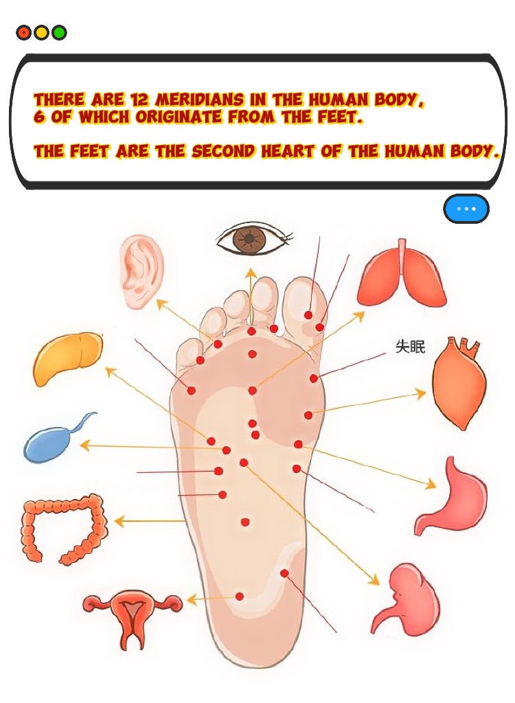 Shiatsu Leg and Foot Massager Size:41-43 - Image 4