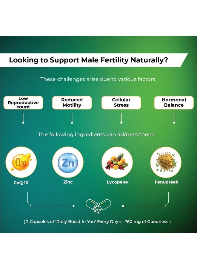 inyou Daily Boost Male Fertility Supplement For Men | Enhances Sperm Health, Count, & Motility | CoQ10 Supplement | FSSAI Complaint, GMP, & HACCP Certified (60 Veg Capsules) - Image 5
