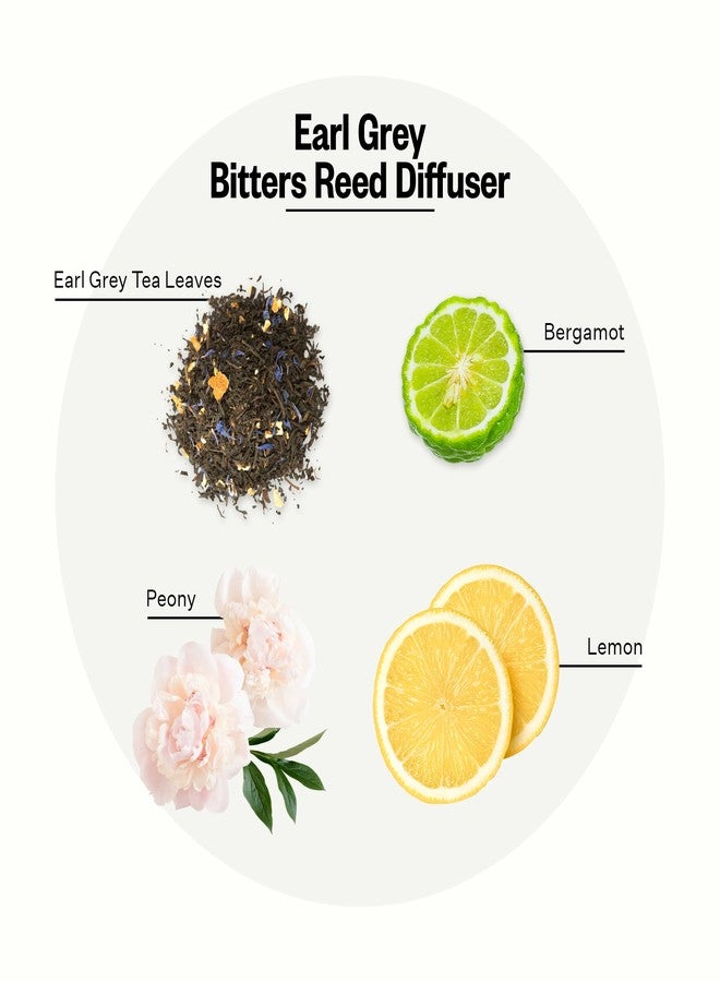Apotheke Scented Reed Diffuser for Home, Earl Grey Bitters, 10 Reed Sticks - Image 2