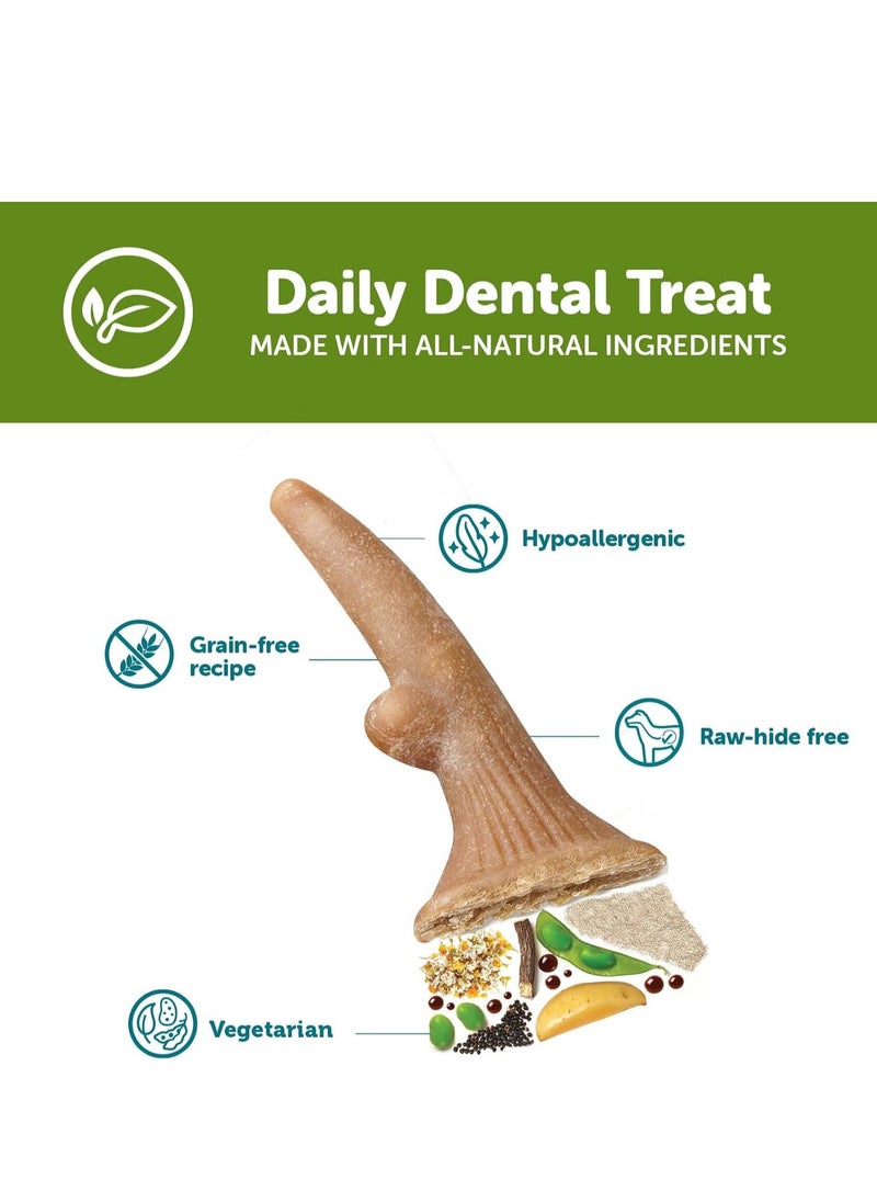 WHIMZEES Antler Occupying Dental Treat with Calming Effects for Medium Dogs 12 to 18kg  All Natural Grain Free 12 pieces  - Image 2