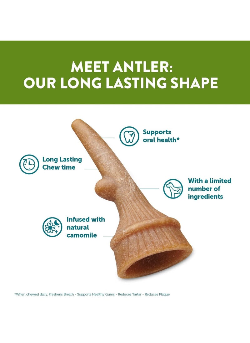 WHIMZEES Antler Occupying Dental Treat with Calming Effects for Medium Dogs 12 to 18kg  All Natural Grain Free 12 pieces  - Image 3