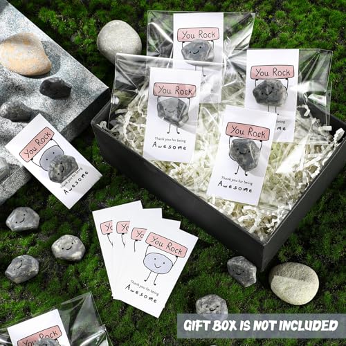 Huwena 30 Sets Inspirational You Rock Employee Appreciation Gifts Smile Resin Stone with Thank You for Being Awesome Rock Card Bulk for Team Teachers Staff Coworkers Adults Party Favor - Image 5