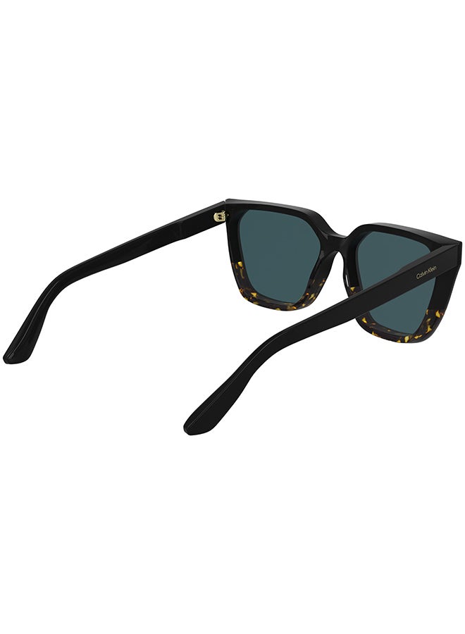 CALVIN KLEIN نظارات شمسية كاملة الإطار من أسيتات كالفن كلاين CK25500S 5716 (006) أسود/هافانا - Image 4