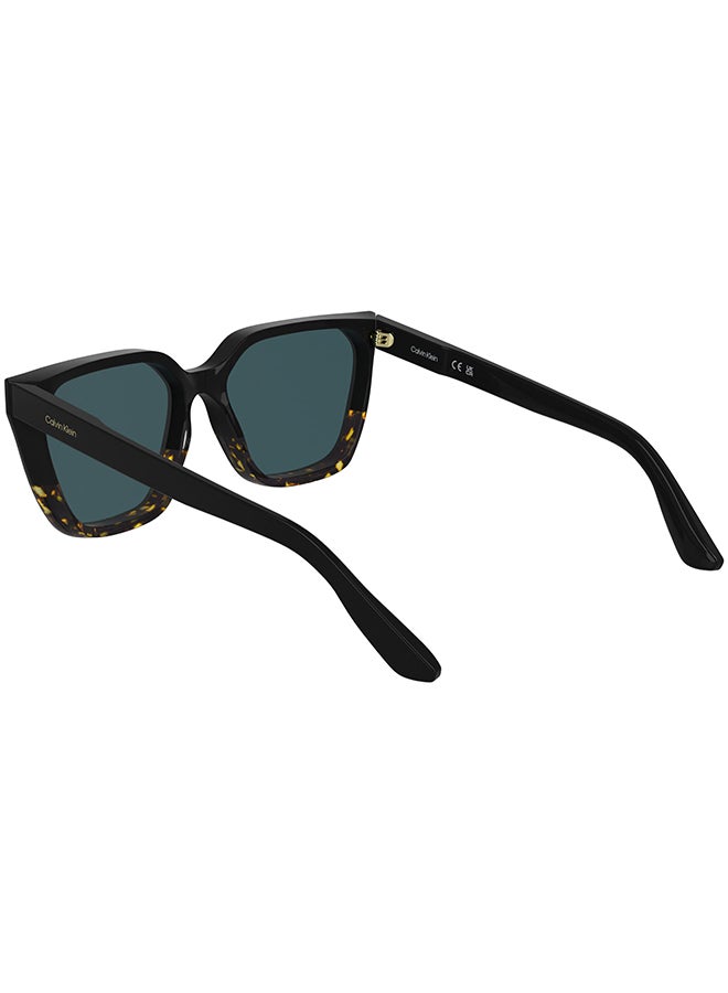 CALVIN KLEIN نظارات شمسية كاملة الإطار من أسيتات كالفن كلاين CK25500S 5716 (006) أسود/هافانا - Image 2