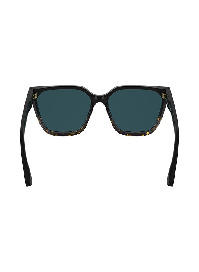 CALVIN KLEIN نظارات شمسية كاملة الإطار من أسيتات كالفن كلاين CK25500S 5716 (006) أسود/هافانا - Image 3