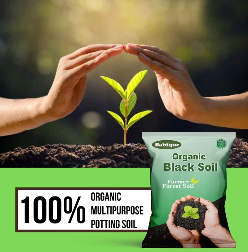 Babique Pure Black Soil Organics Fertilizers | Forest Soil,100% Natural for Plants & Home Gardening- 5 Kg - Image 2
