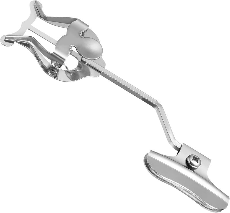 EXCEART Clarinet Music Holder, Trumpet Trombone Sheet Music Clip Lyre, Silver Metal, Modern Style, C Instrument Key - Image 1