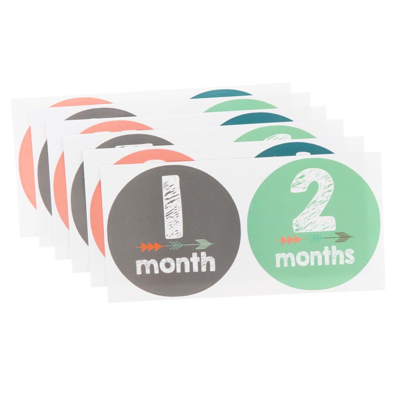 12Pcs Baby Milestone Stickers Easy Peel Photo Props for Boys First Year Photography - Image 2