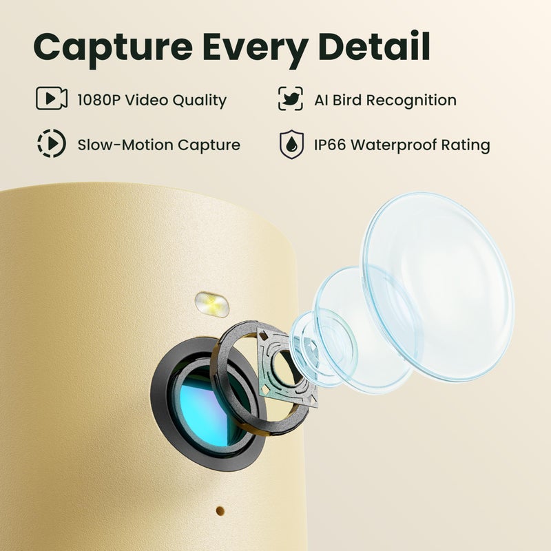 Birdfy Smart Bird Feeder with Camera Solar Powered, Night Insight & Slow-Motion Video for Outdoors & Backyard Birds Watching, AI Identify 6000+ Species by Subscription, Wood - Image 3