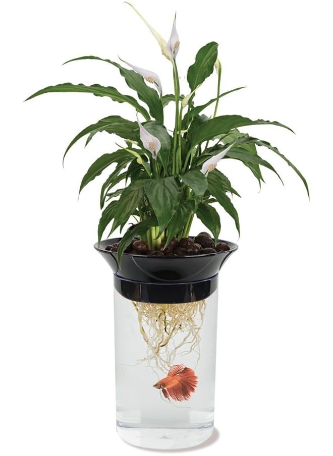 Penn Plax - Aquaponic Betta Fish Tank Promotes Healthy Environment For Plants And Fish .5 Gallon Capacity - Image 1