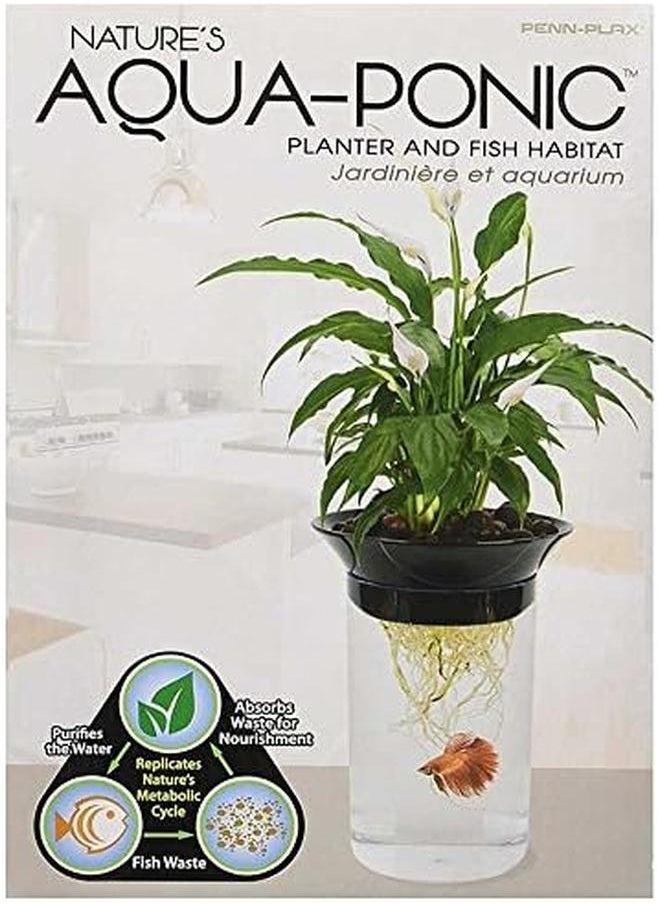 Penn Plax - Aquaponic Betta Fish Tank Promotes Healthy Environment For Plants And Fish .5 Gallon Capacity - Image 1