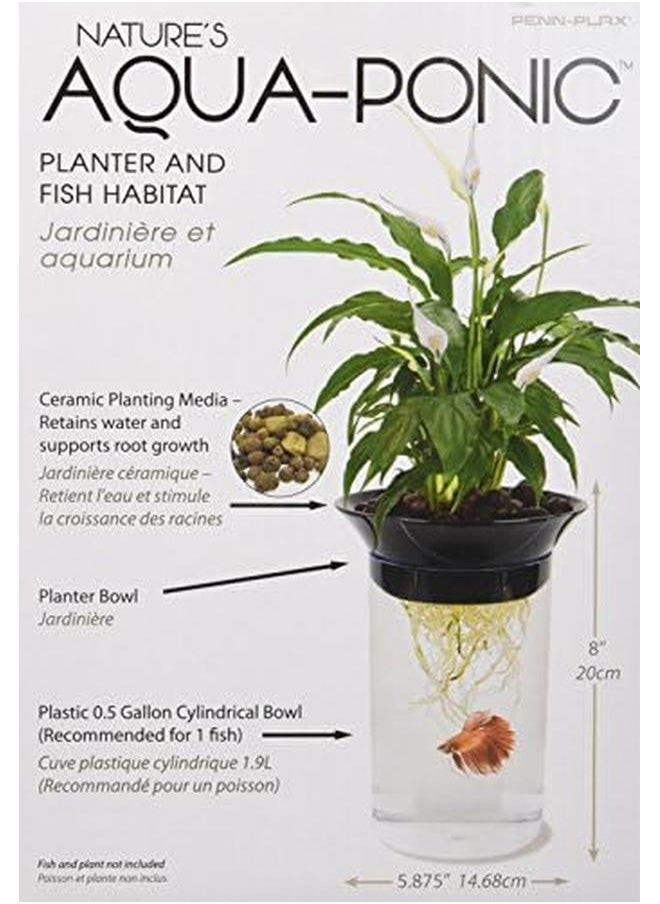 Penn Plax - Aquaponic Betta Fish Tank Promotes Healthy Environment For Plants And Fish .5 Gallon Capacity - Image 1
