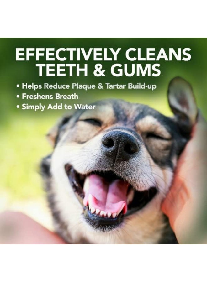 Vet's Best أفضل منتج لتنظيف أنفاس الحيوانات الأليفة، أبيض، 500 مل، 500 مل (عبوة من 1) - Image 3