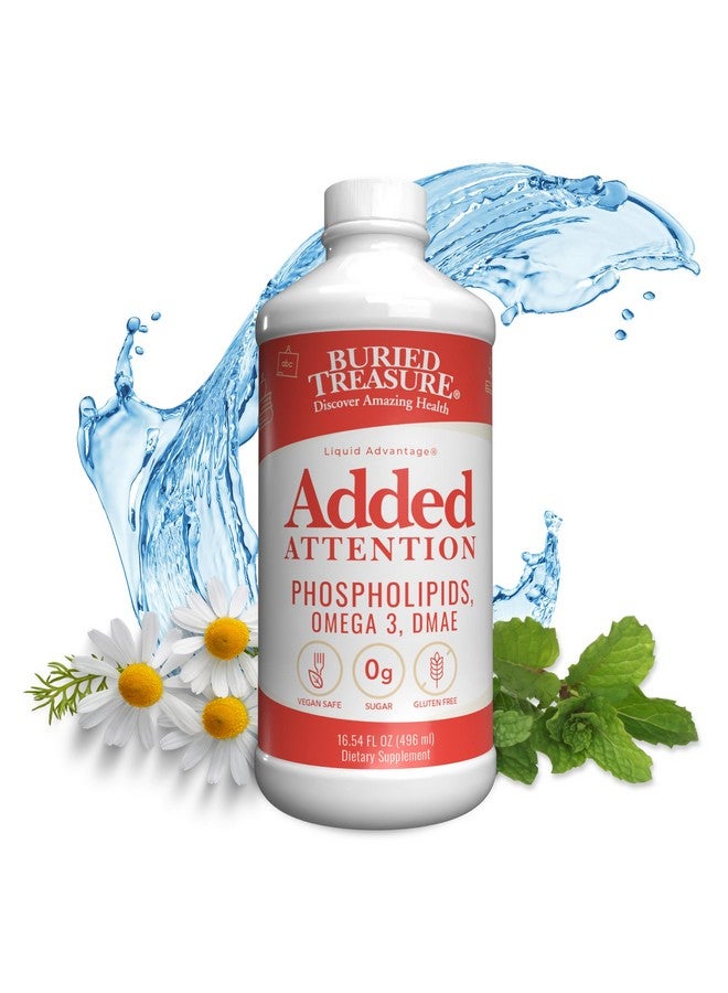 Buried Treasure Buried Treasure - Added Attention - Children's Learning Support with GABA DHA Vitamin B and Herbal Blend - Aid Healthy Brain Functions - Improved Short-Term Auditory Memory Focus & Behavior 16.54 oz - Image 1