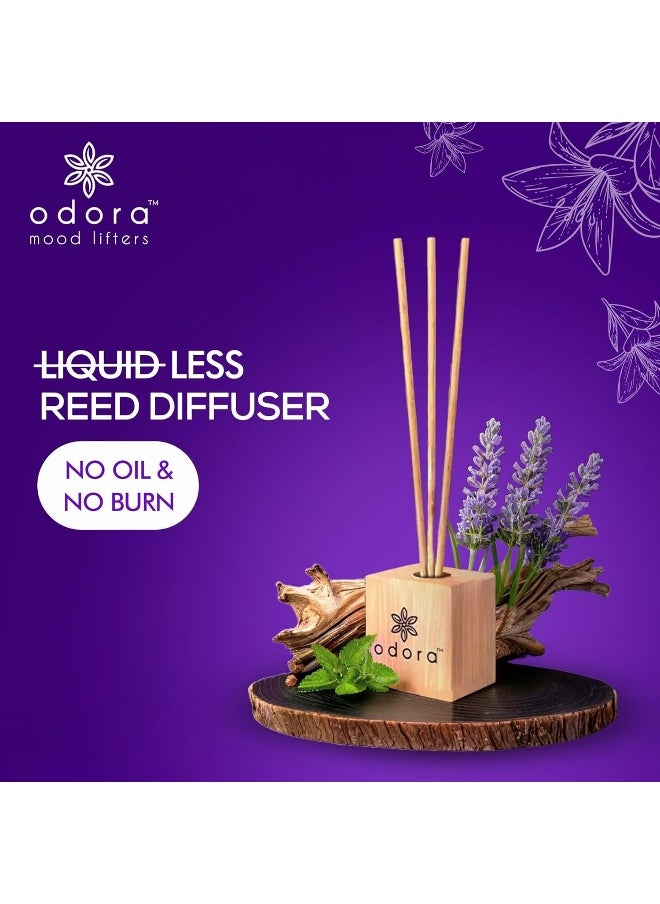 Odora Liquidless Reed Diffuser - Lavender & Patchouli, Infused with Essential Oils, Long Lasting Fragrance Lasts Upto 30 Days, No Burn No Oil, Biodegradable, Room Freshener for Home, 6 Wooden Reeds  - Image 2